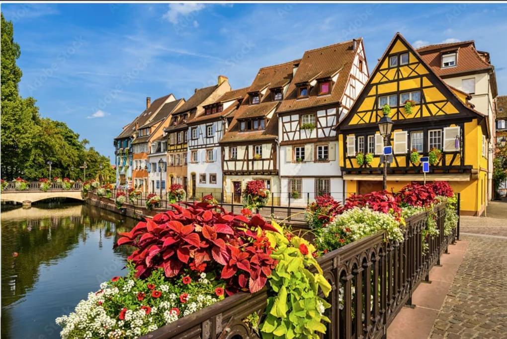 شقة Colmar Centre - Le Schickele المظهر الخارجي الصورة